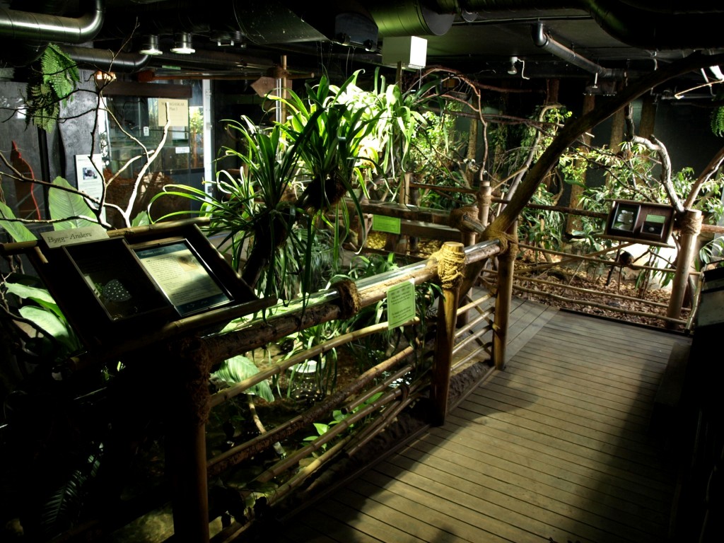 Tropikariet - South America