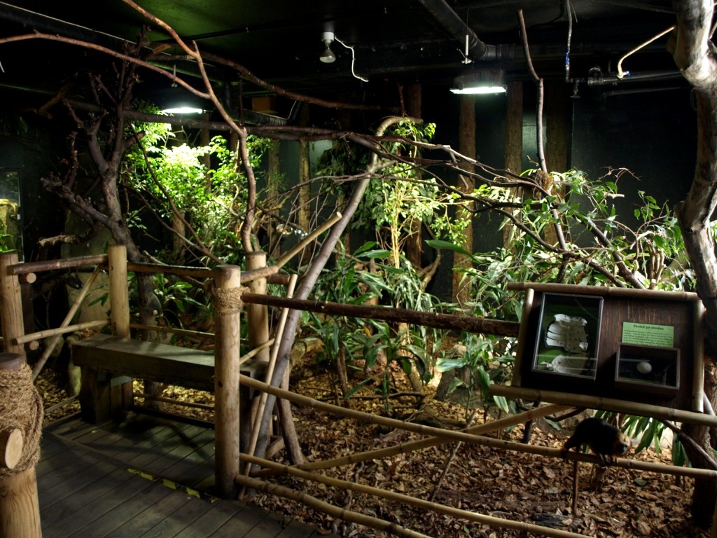 Tropikariet - South America