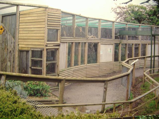 Tropiquaria Gibbon cage