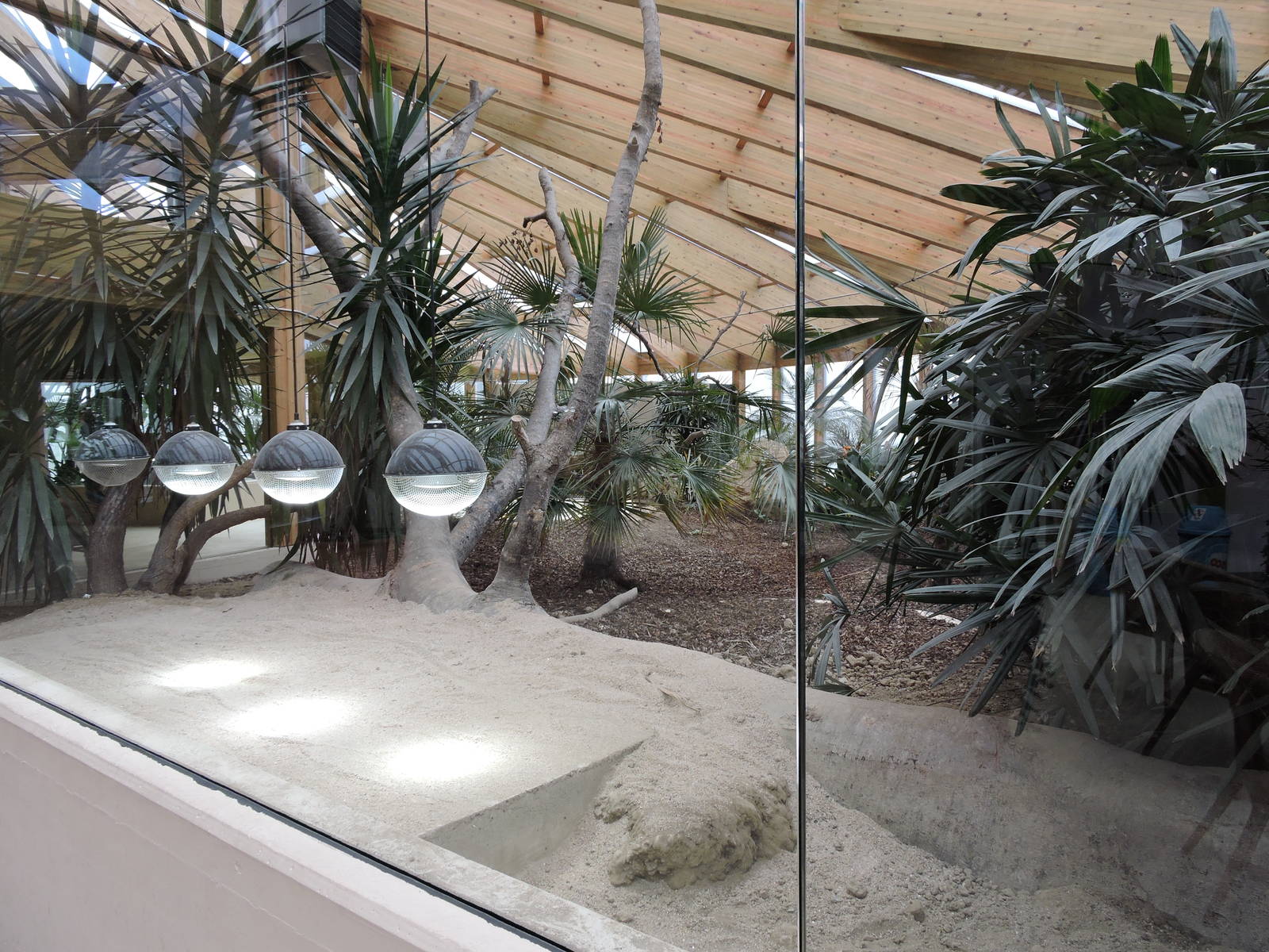 Tropiquarium de Servion - New komodo dragon enclosure