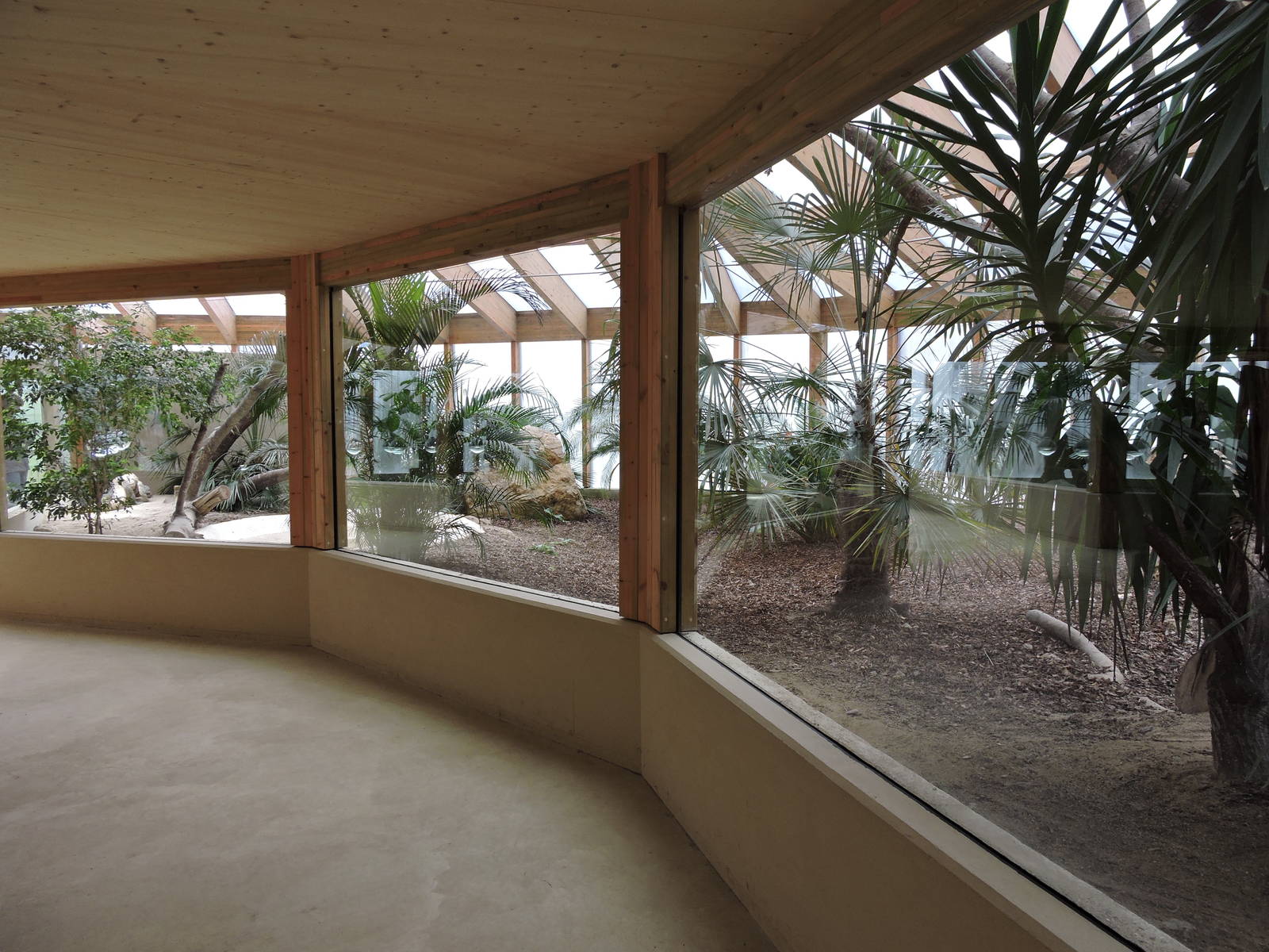 Tropiquarium de Servion - New komodo dragon enclosure