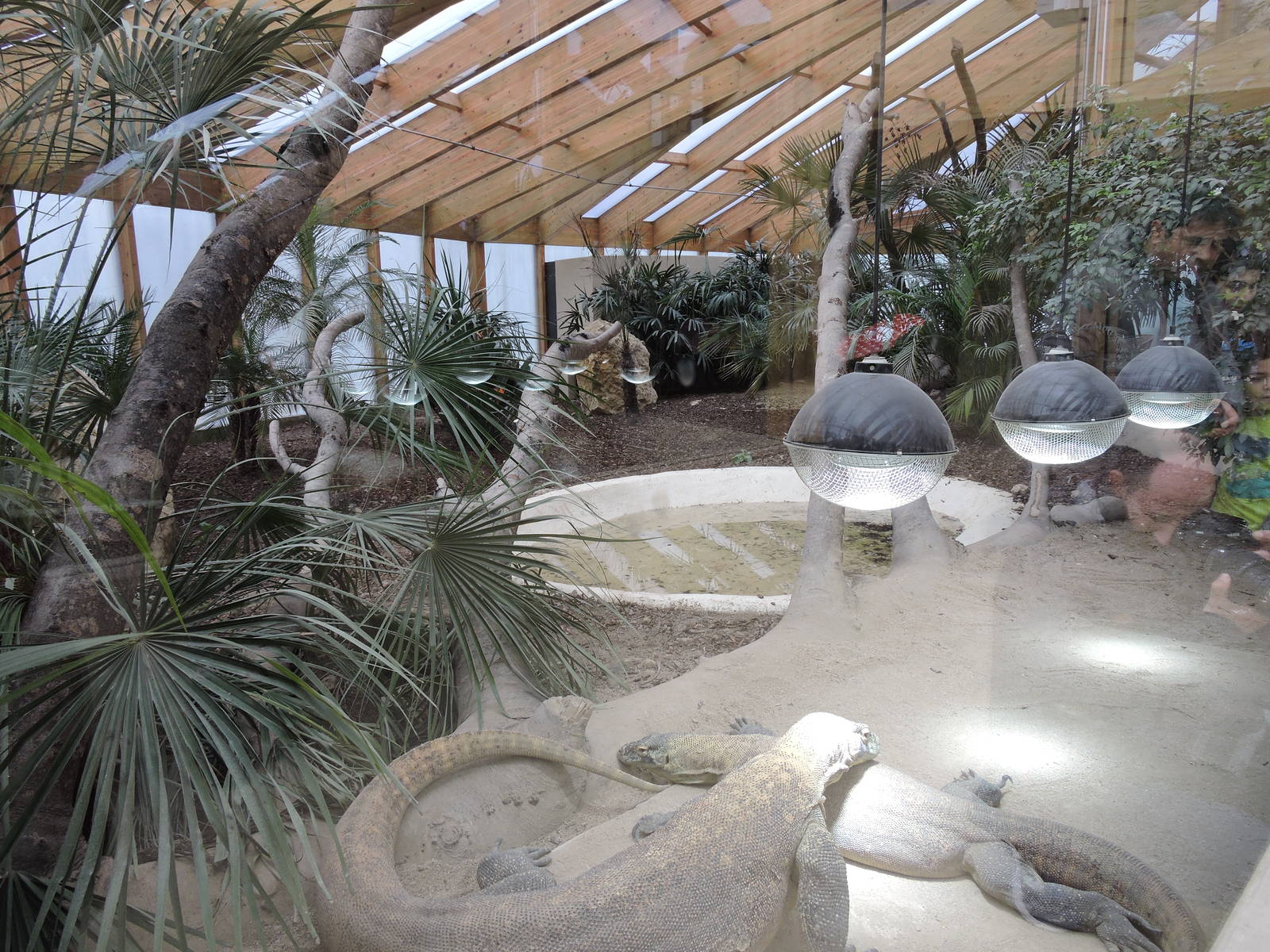 Tropiquarium de Servion - New komodo dragon enclosure