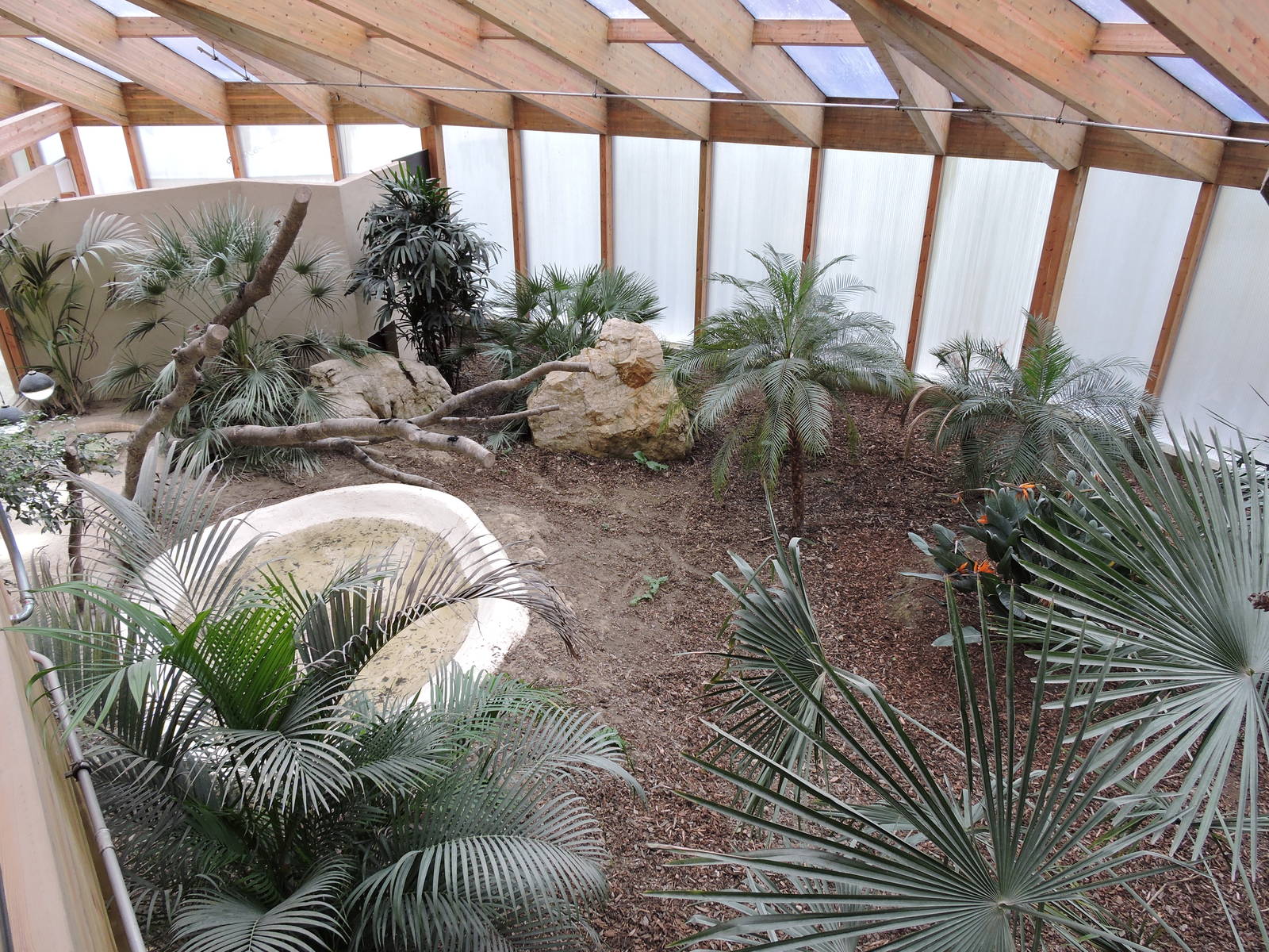 Tropiquarium de Servion - New komodo dragon enclosure