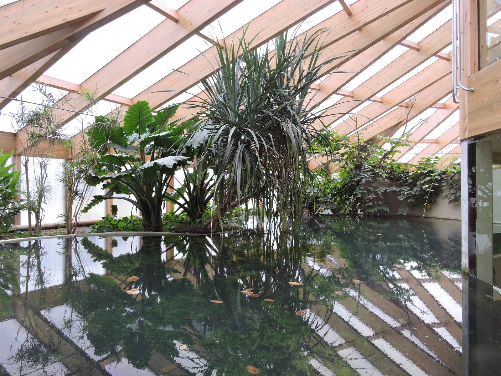 Tropiquarium de Servion - Siamese crocodiles exhibit