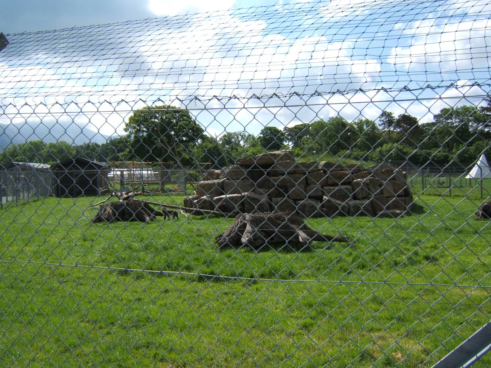 Trotters Animal World