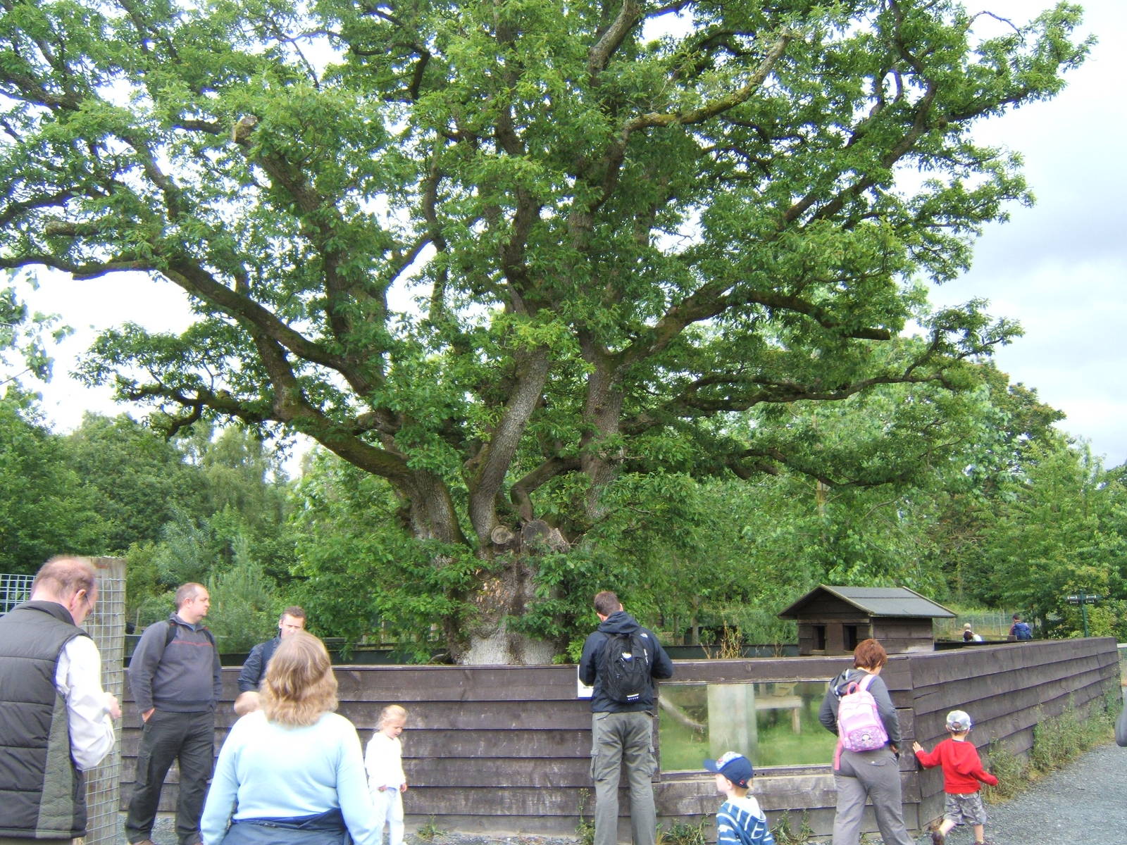 Trotters Animal World