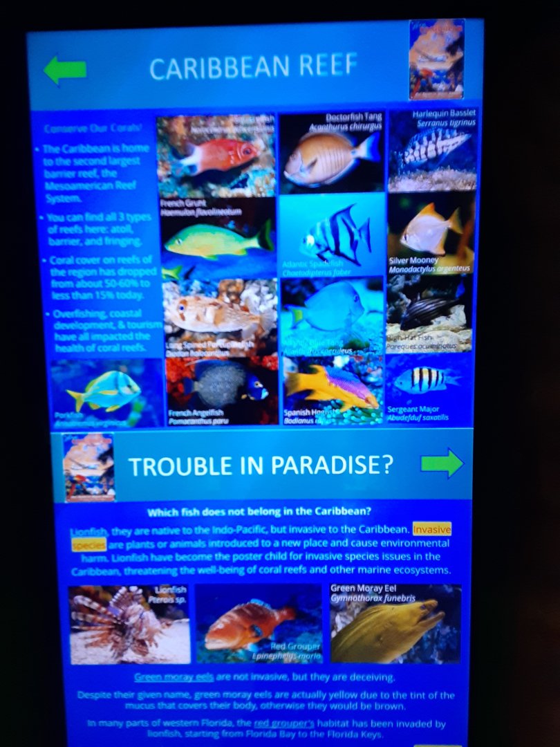 Trouble in Paradise/Caribbean Reef Signage