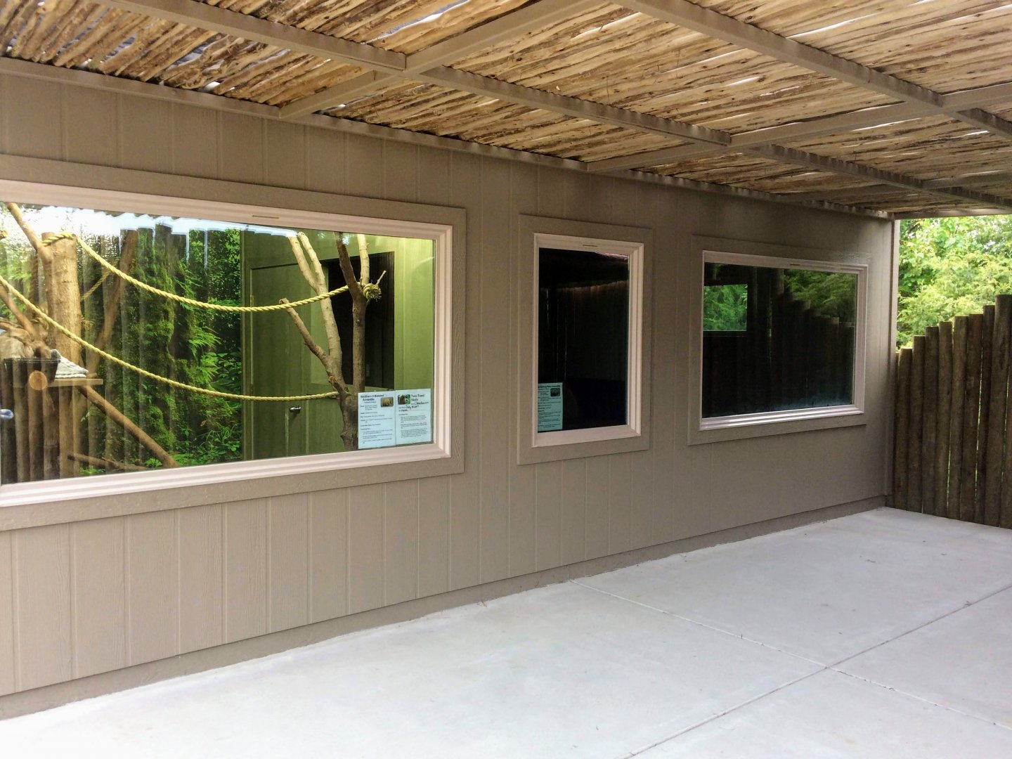 Troublemaker's Cove - Sloths & Armadillos