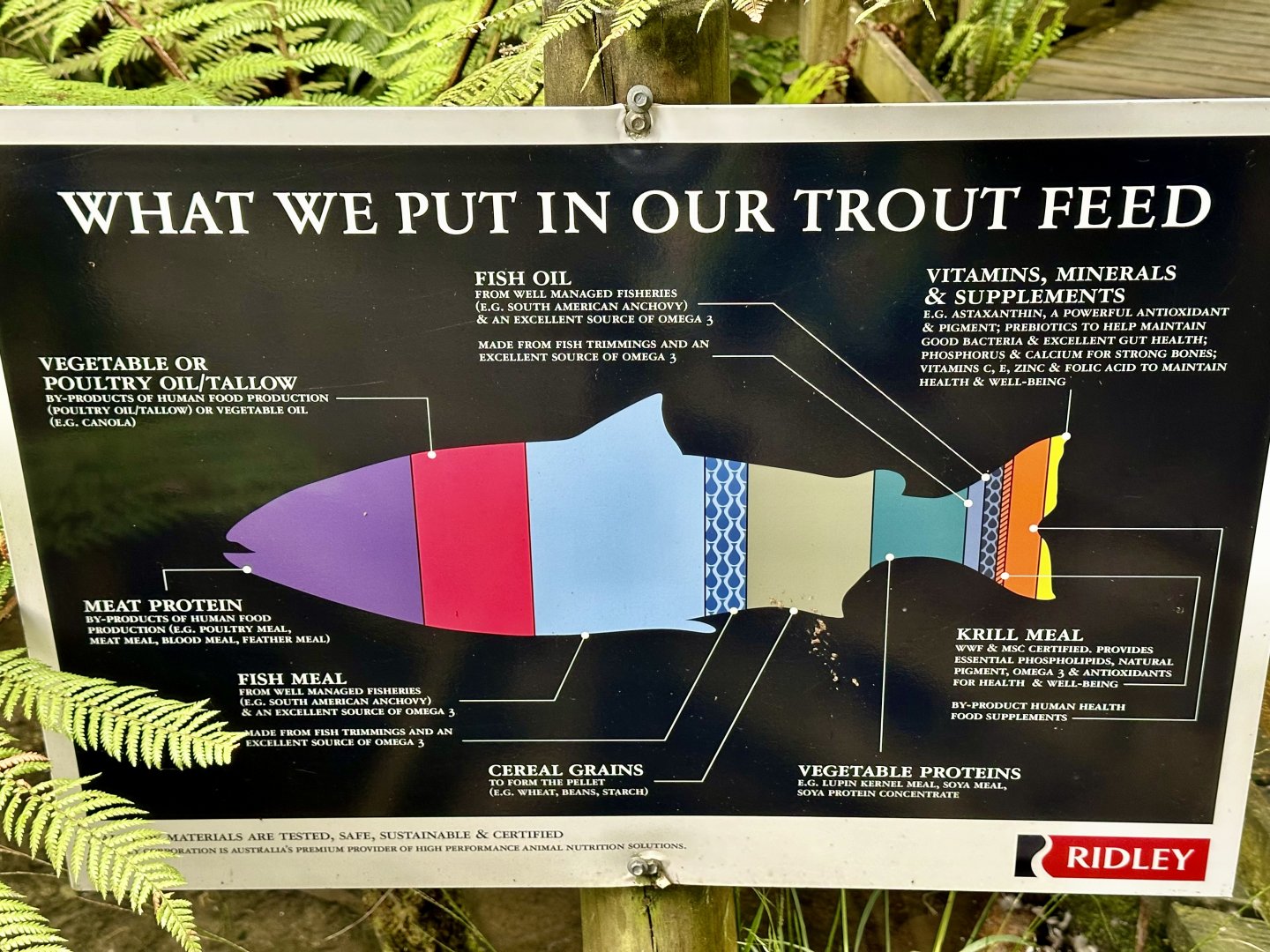 Trout Nutrition Information