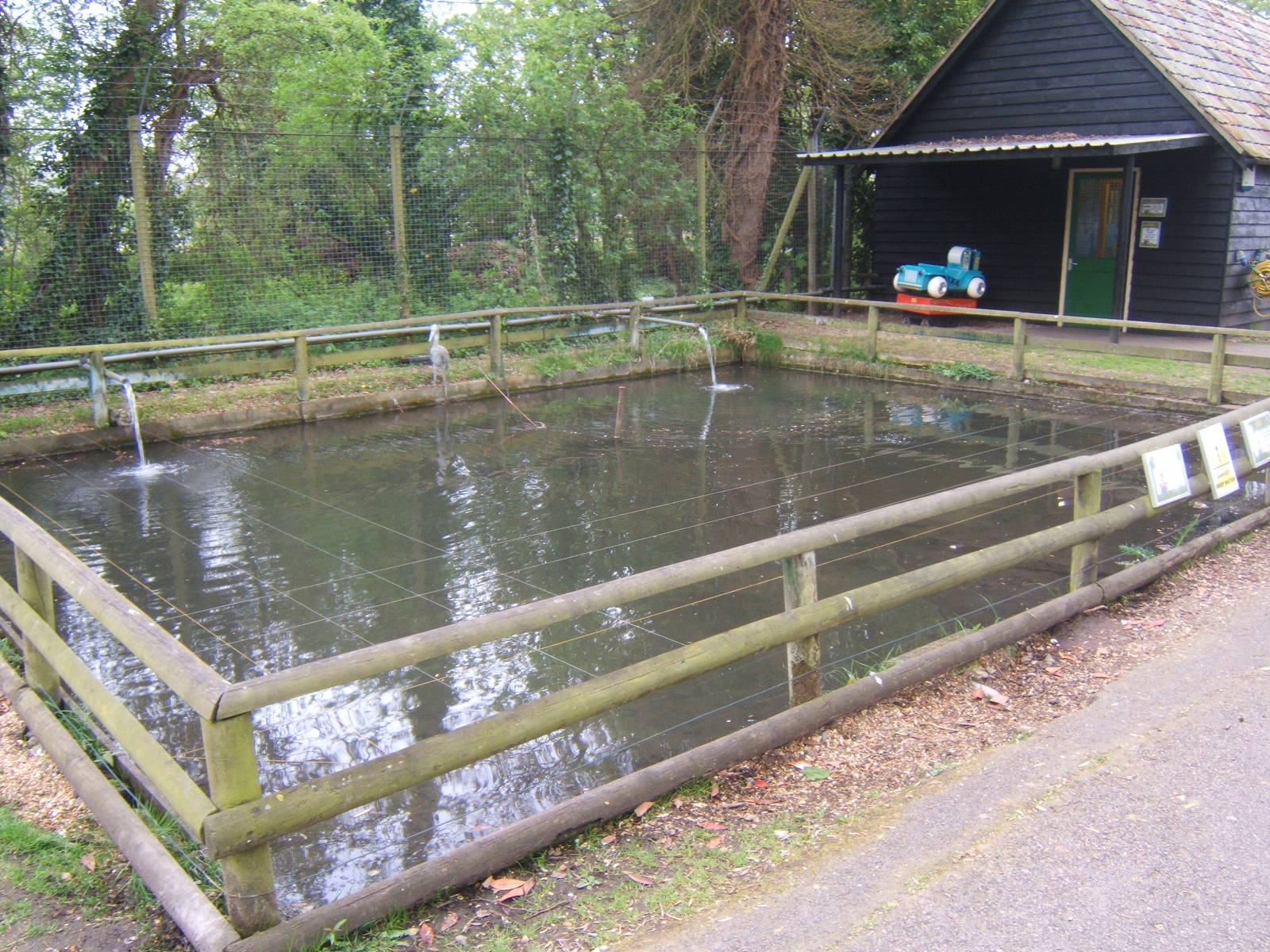 Trout pool