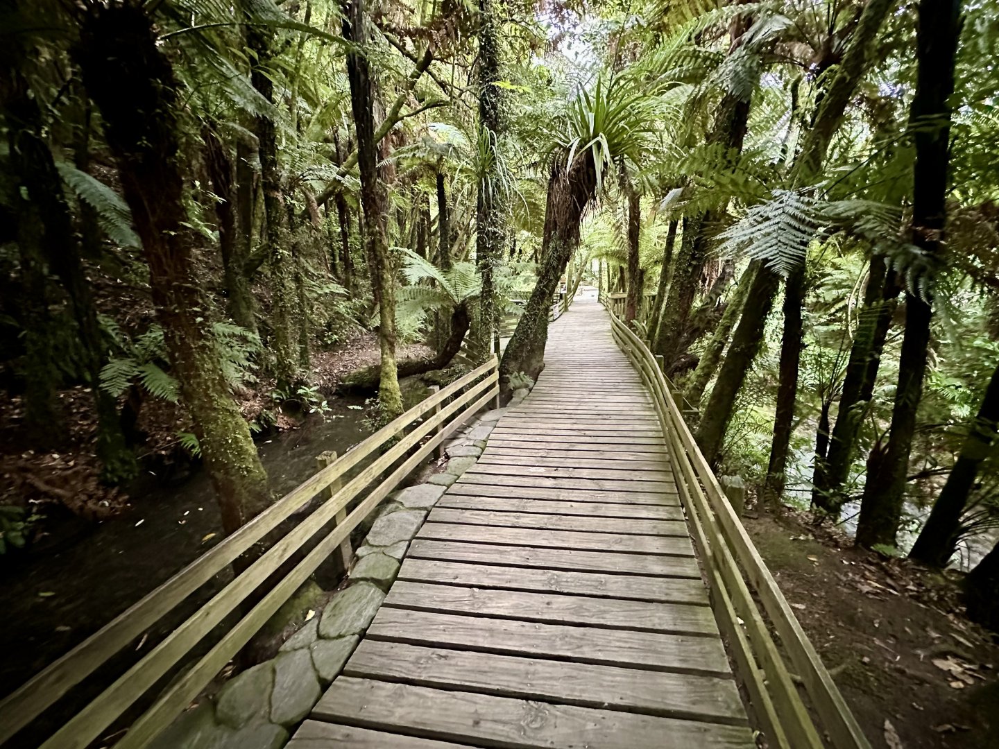 Trout Pools Boardwalk