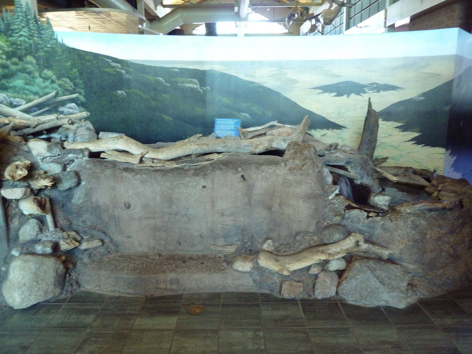 Trout Stream Exhibit