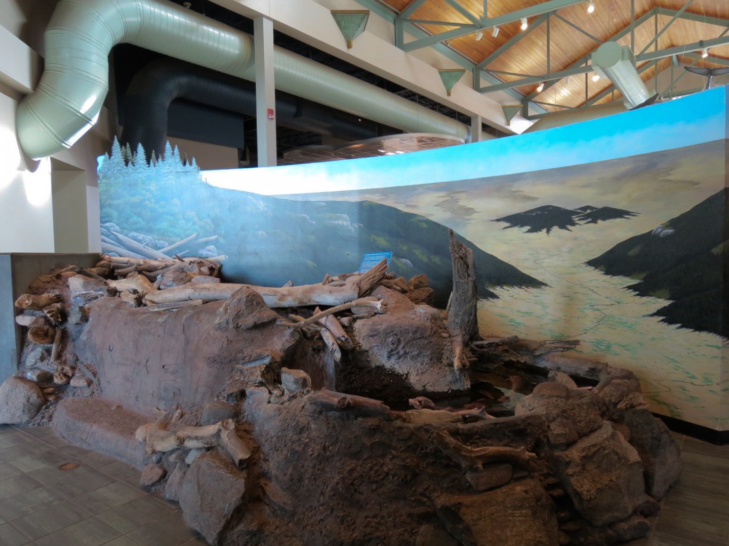 Trout Stream Exhibit