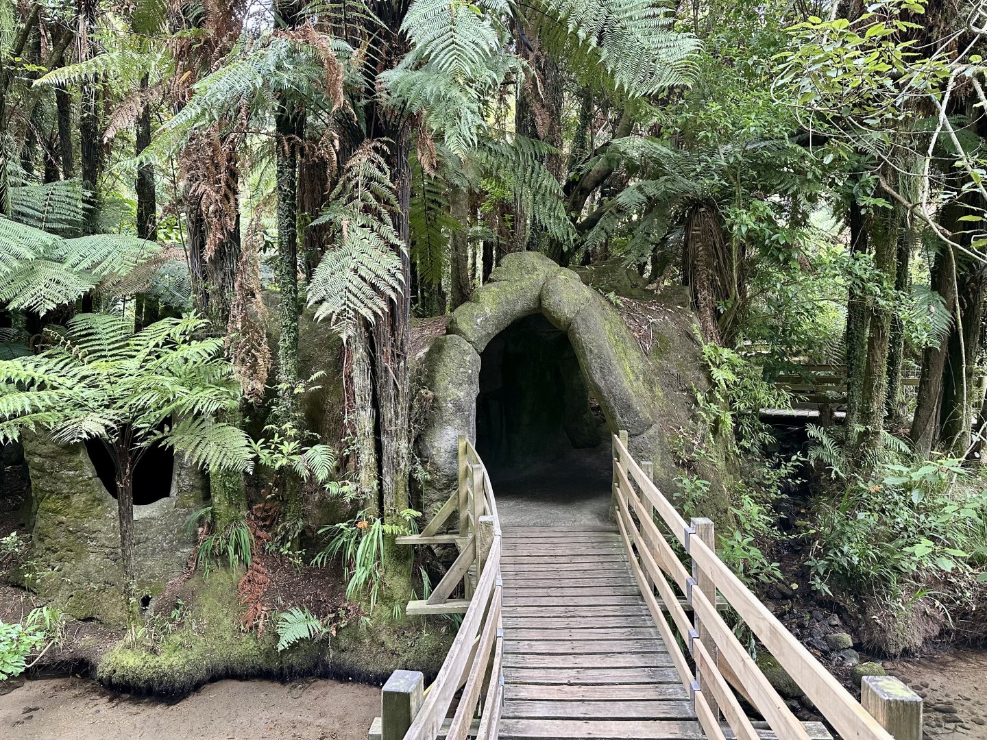 Trout Underwater Viewing Cave (Exit)