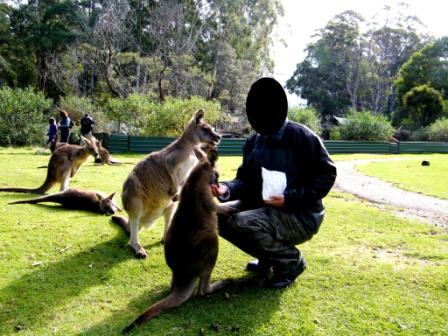 Trowunna Wildlife Park