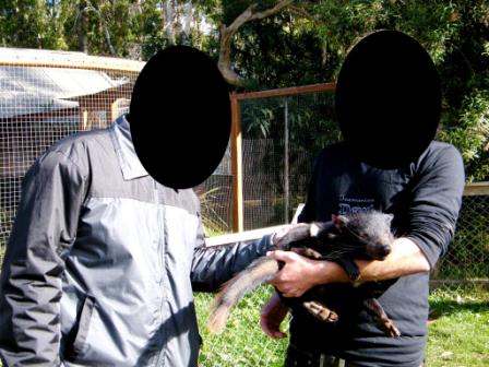 Trowunna Wildlife Park