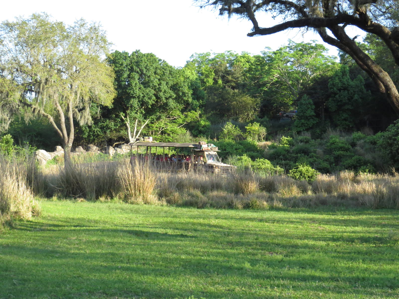Trucks on the trail - Kilimanjaro safaris, March 2015