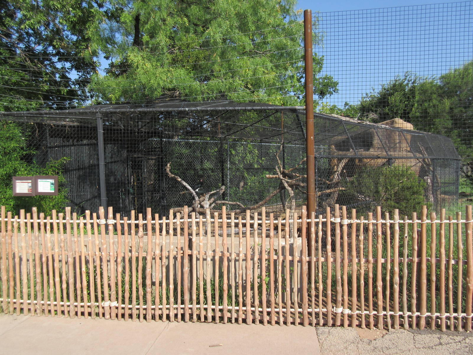 Trumpeter Hornbill/Aldabra Tortoise Exhibit