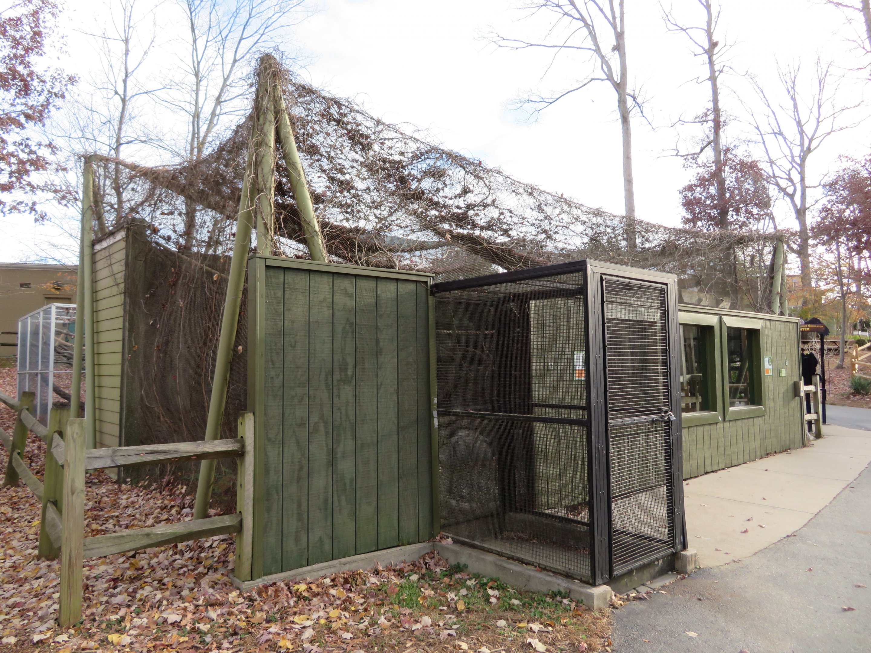 Trumpeter Hornbill Aviary