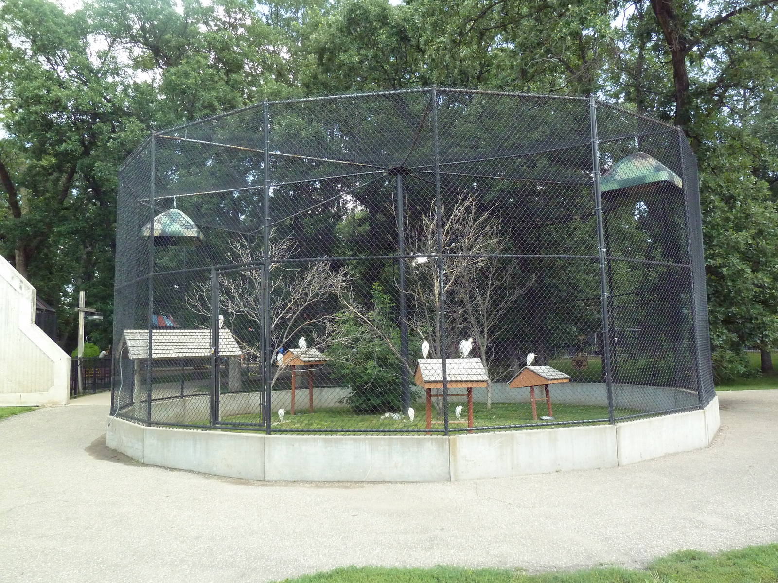 Trumpeter Hornbill/Egret Aviary