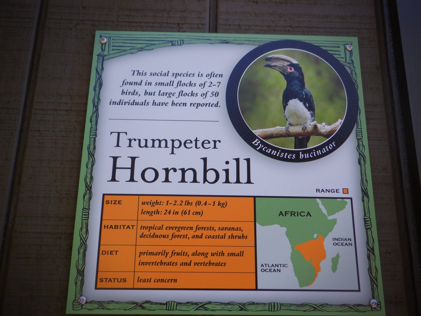 Trumpeter Hornbill signage at the Greensboro Science Center