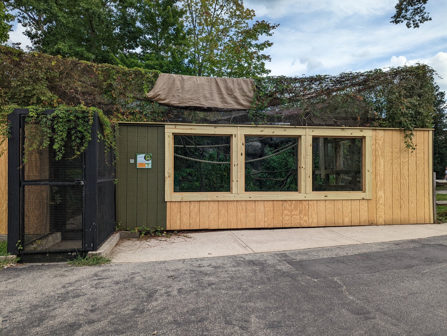 Trumpeter Hornbill viewing renovations