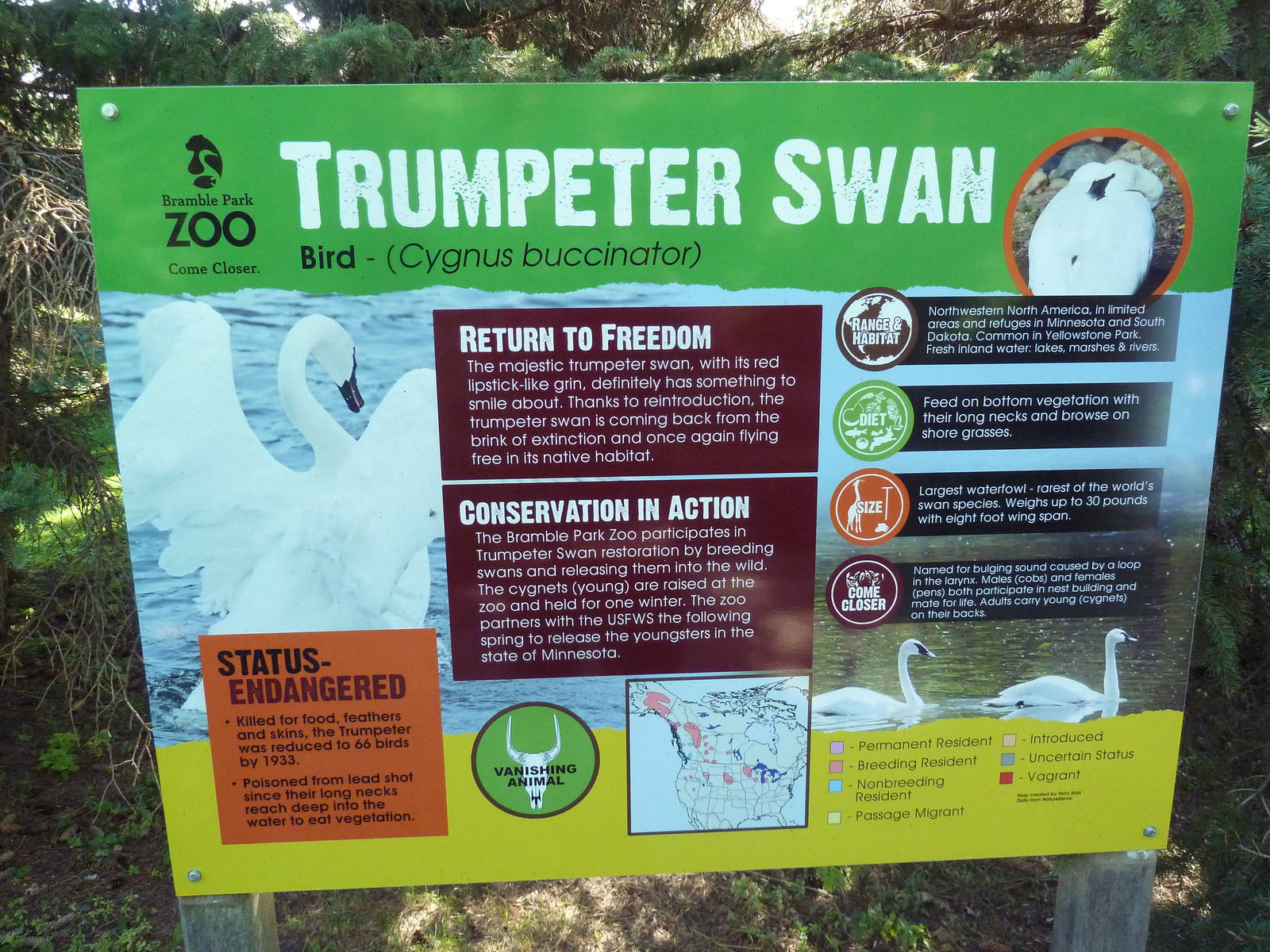 Trumpeter Swan Sign (excellent!)