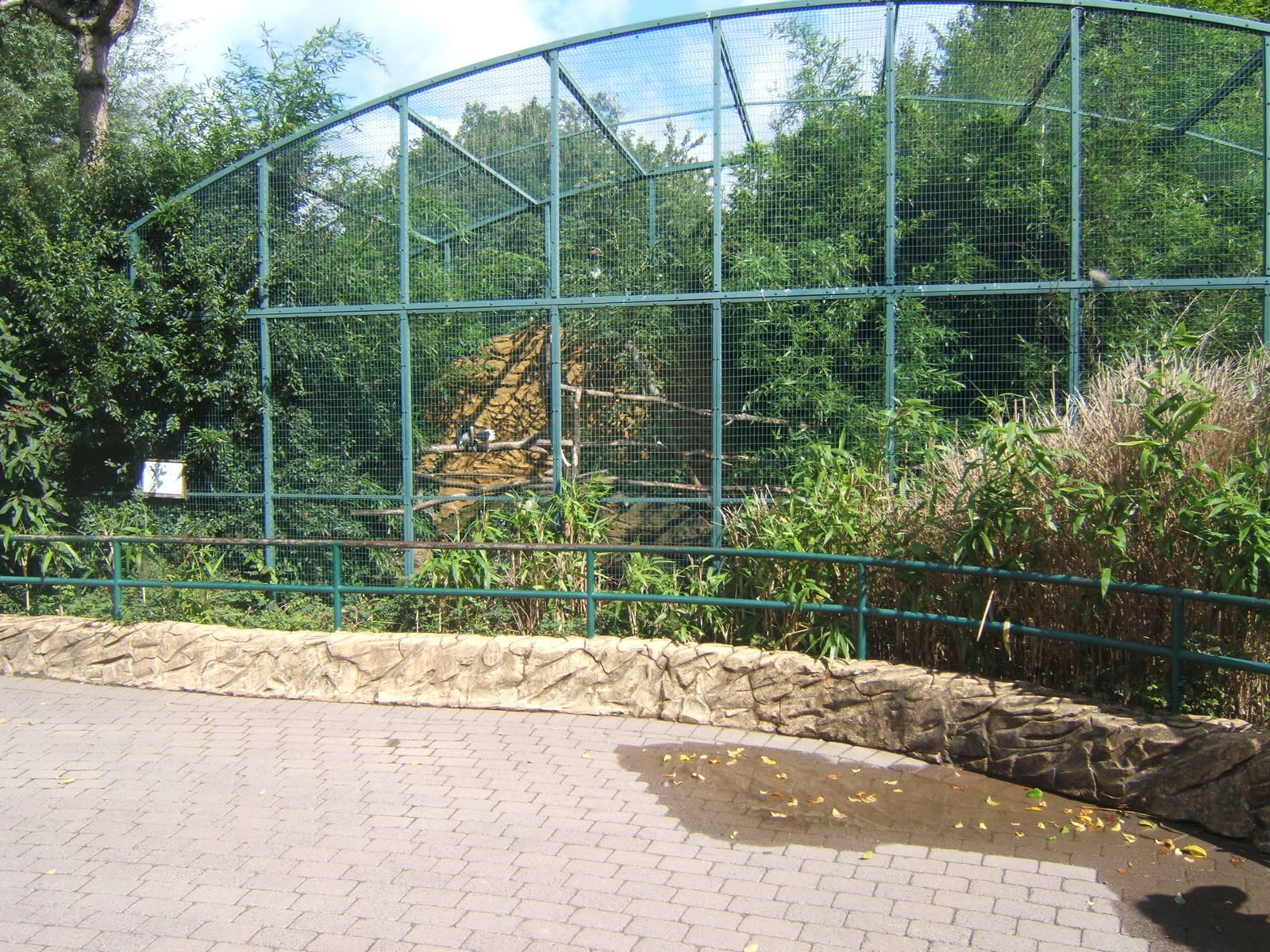 Trumpter Hornbill Aviary