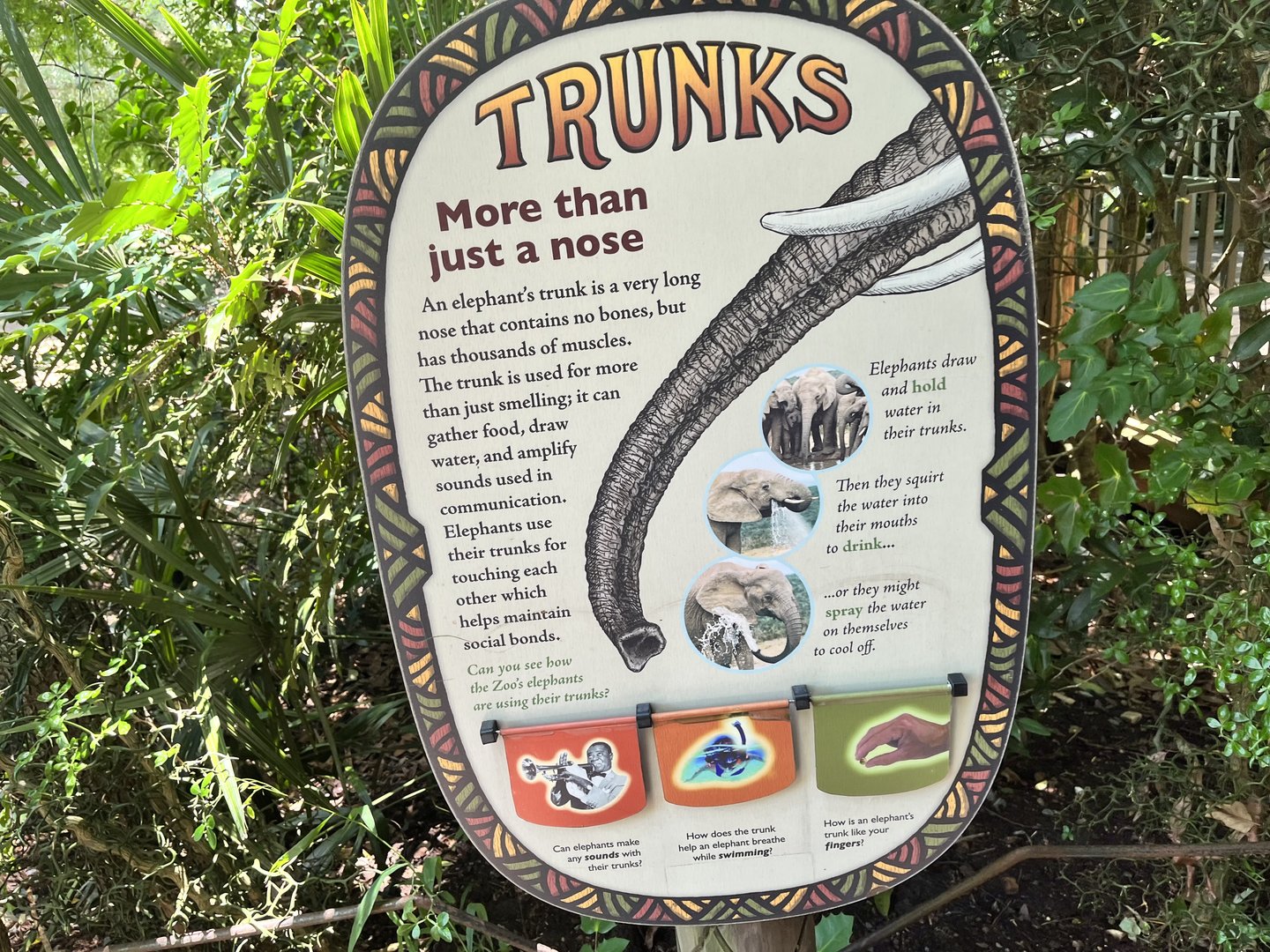 Trunks Signage