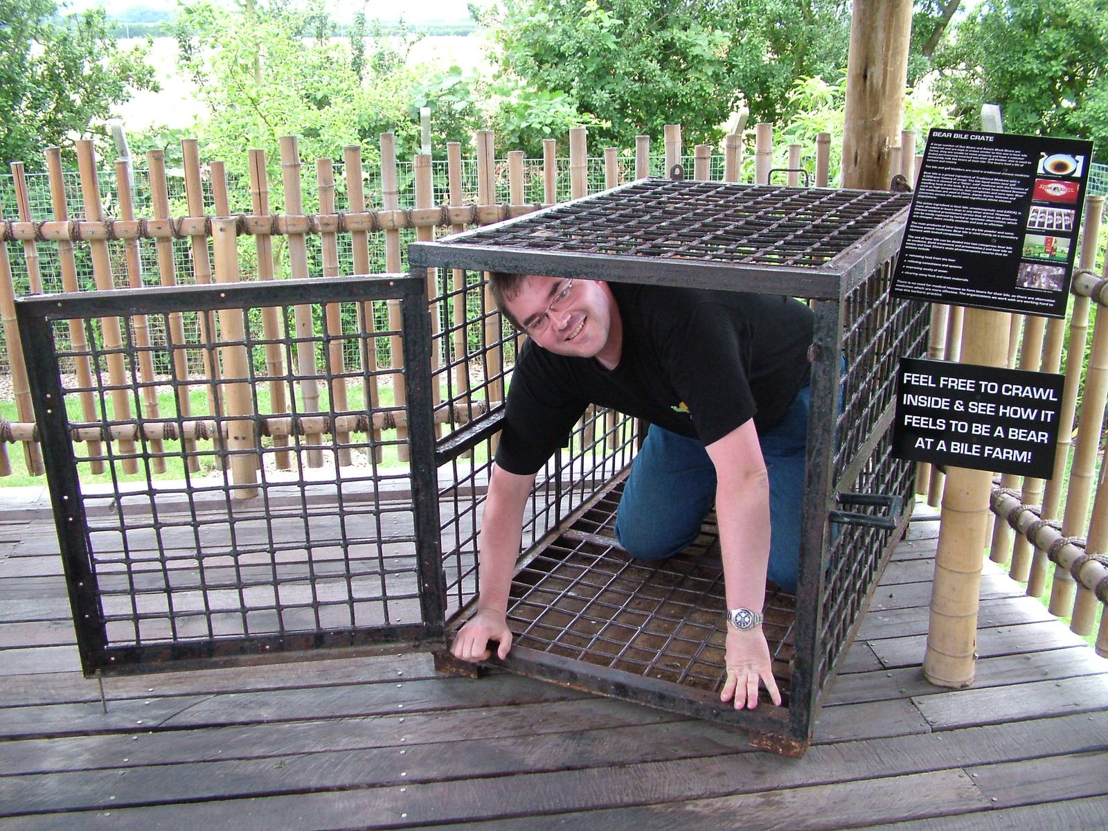 Trying out a bile cage at the RSCC, 31/07/10