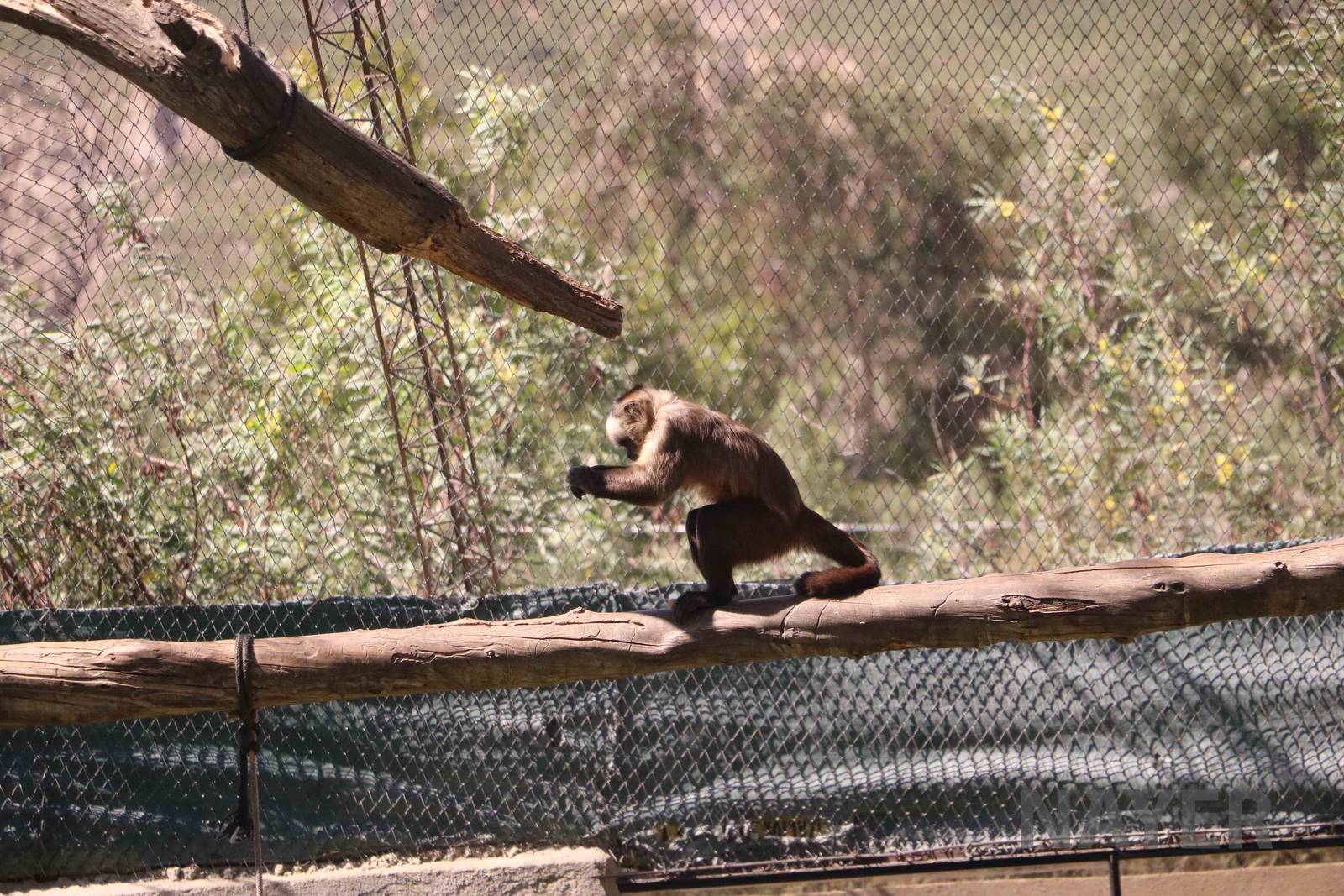 Trying to break something open, March 2016