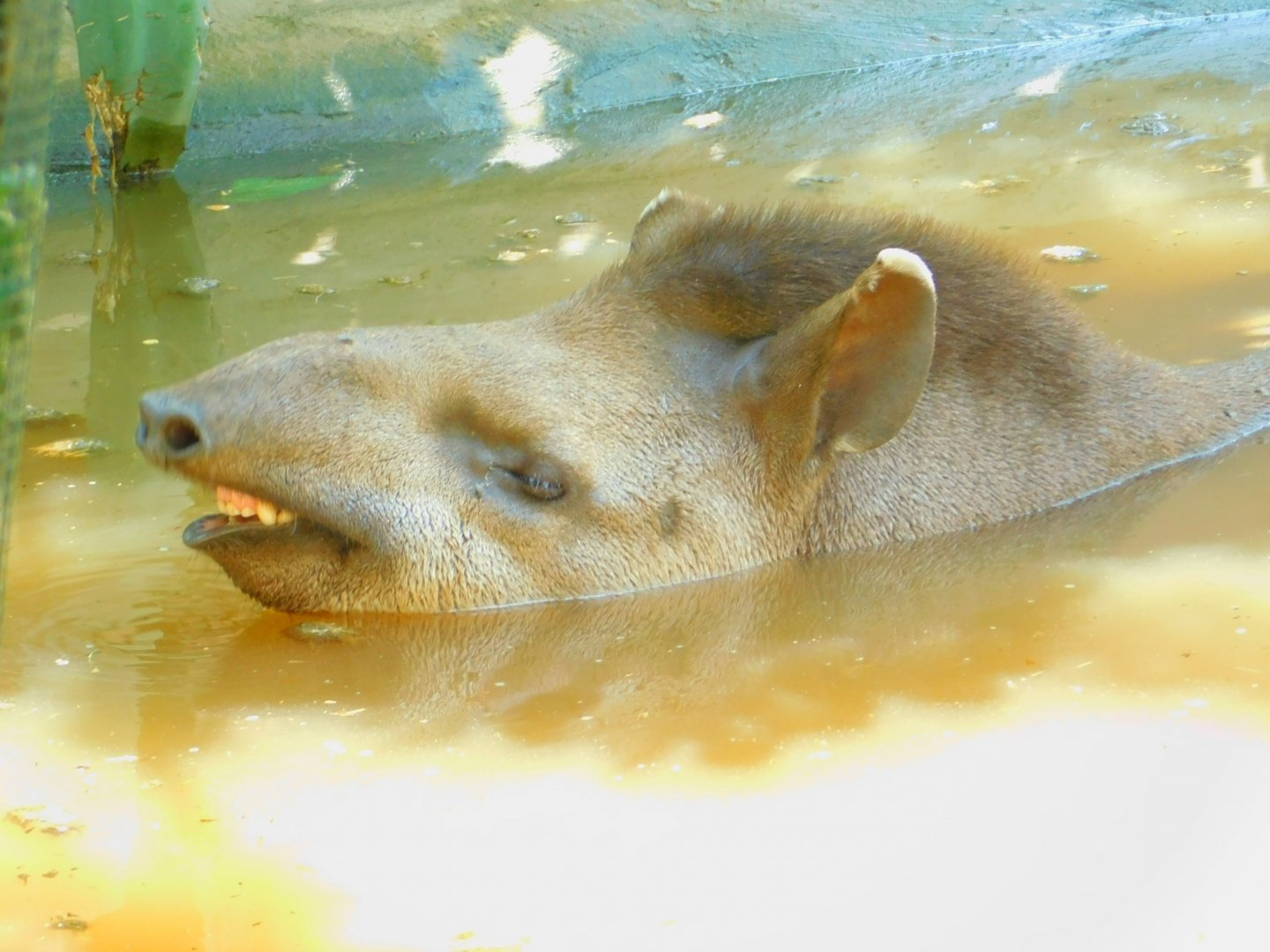 trying to keep it cool