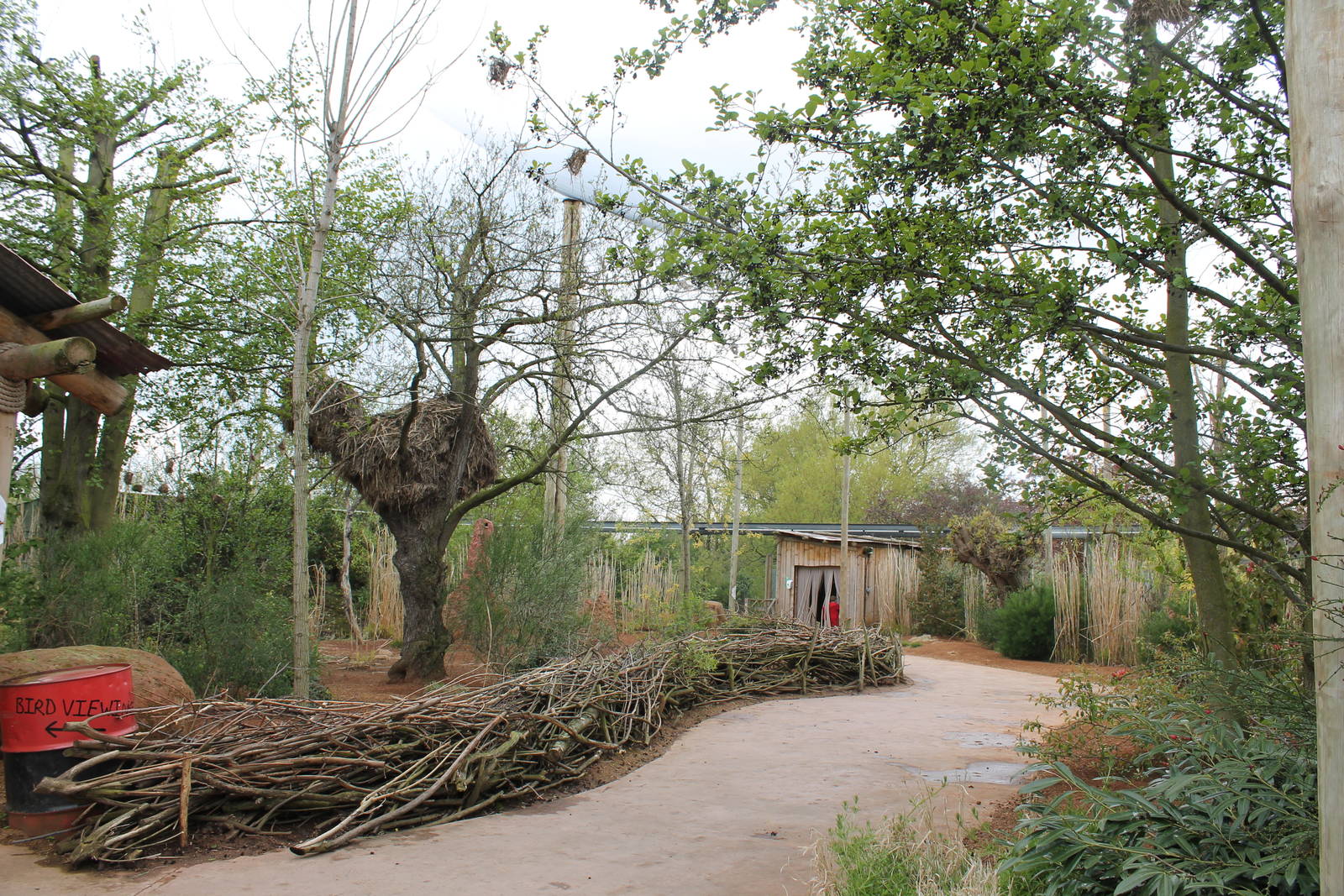 Tsavo aviary pathway