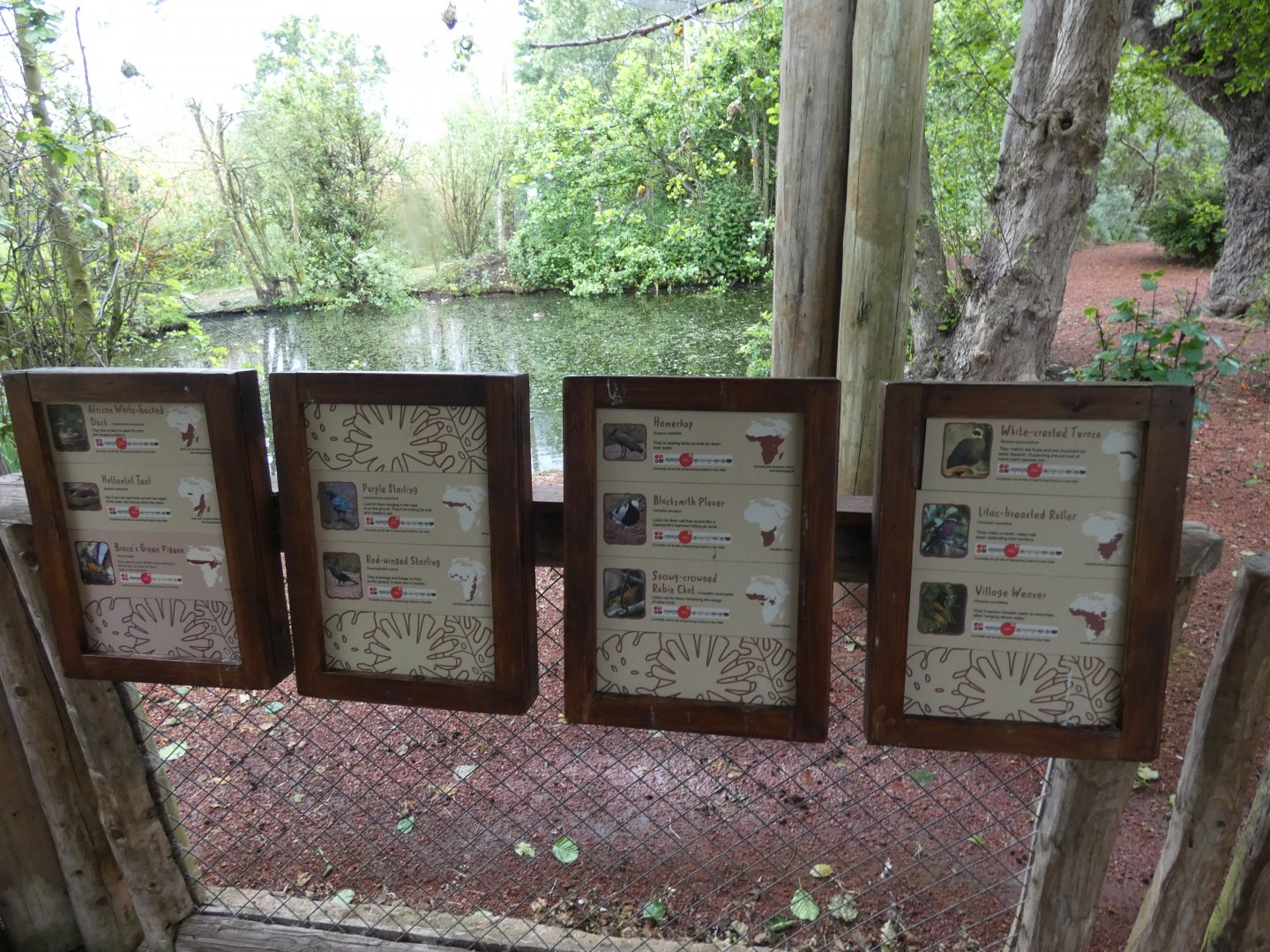 Tsavo aviary species signed