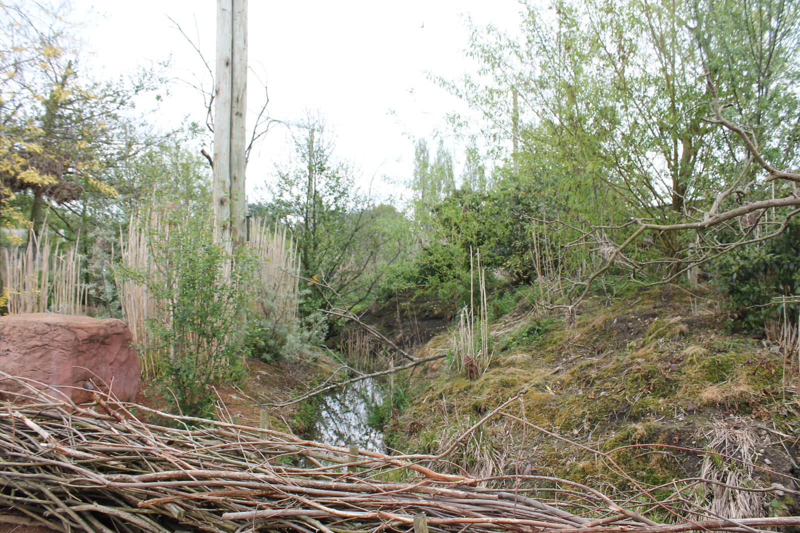 Tsavo aviary stream Chester Zoo 17 May 2012