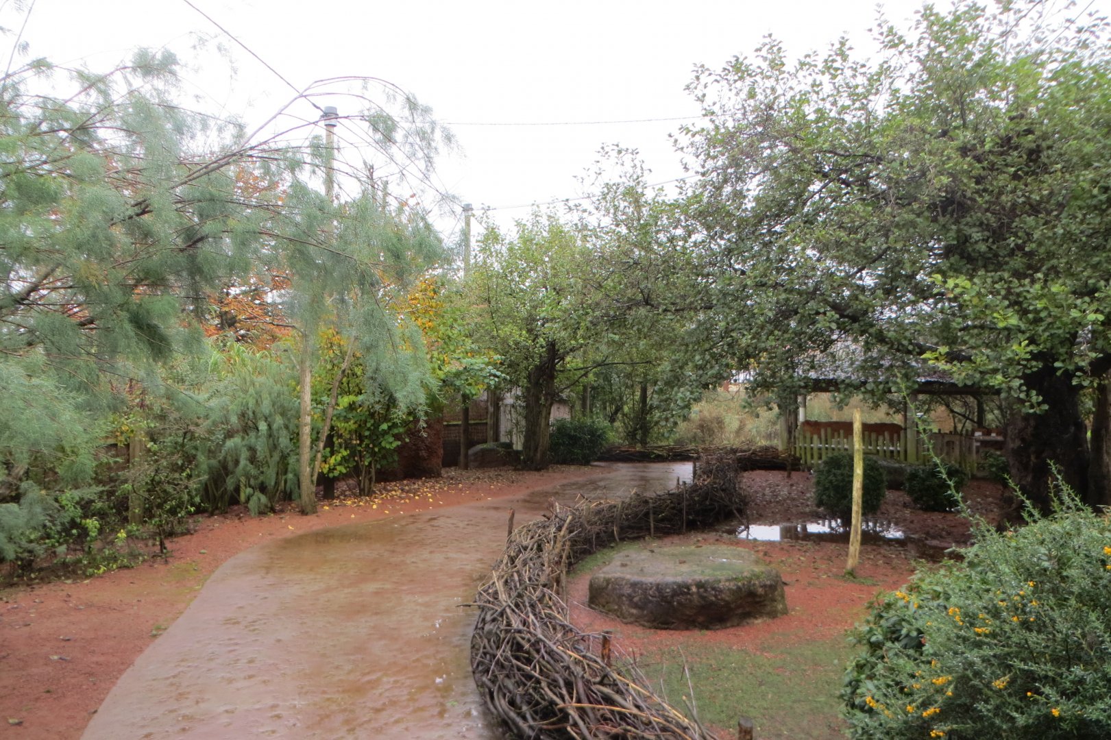 Tsavo Bird Safari 261019