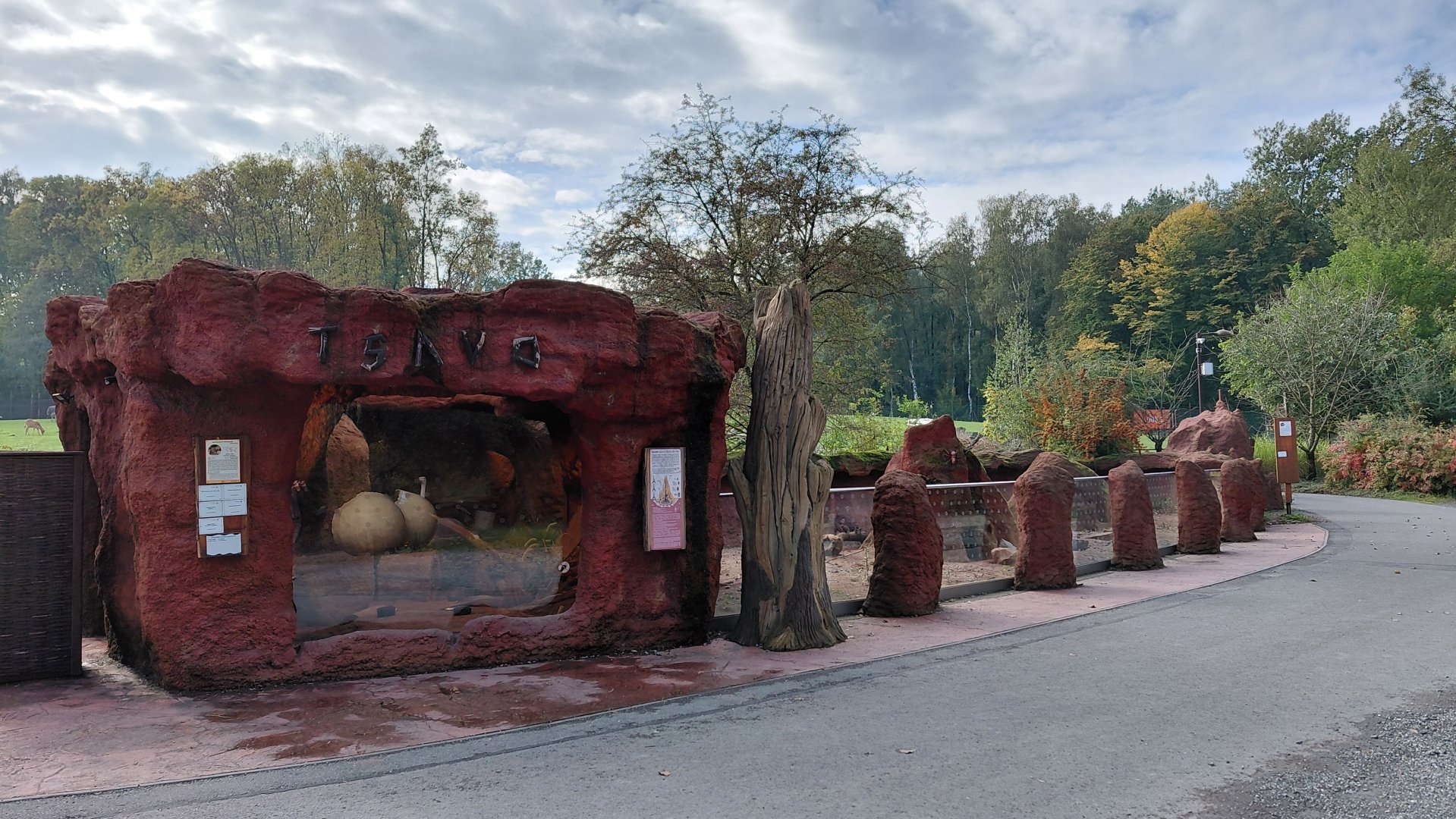 Tsavo - dwarf mongoose exhibit