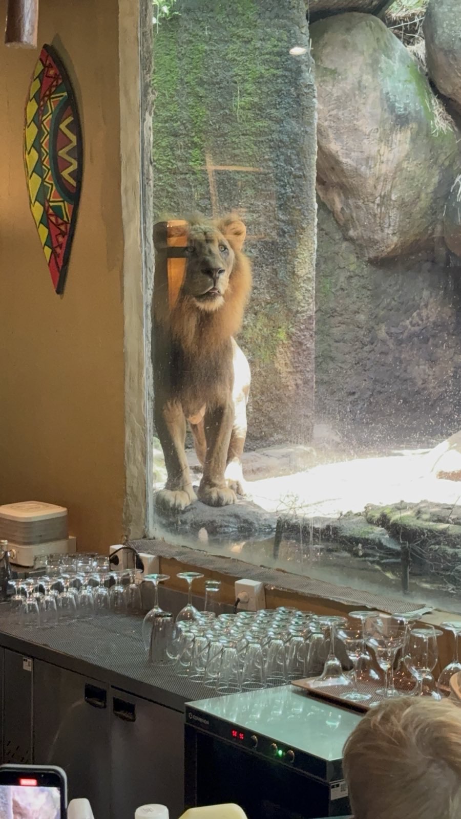Tsavo Lion Restaurant - Bar area