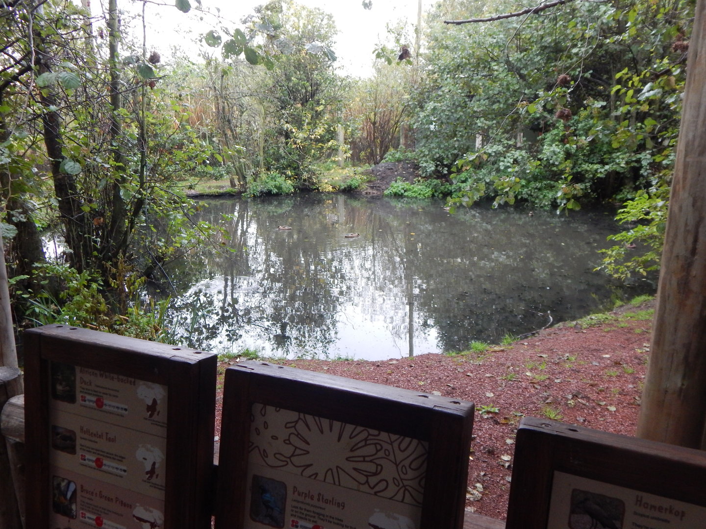 Tsavo National Bird Park Safari aviary 221022