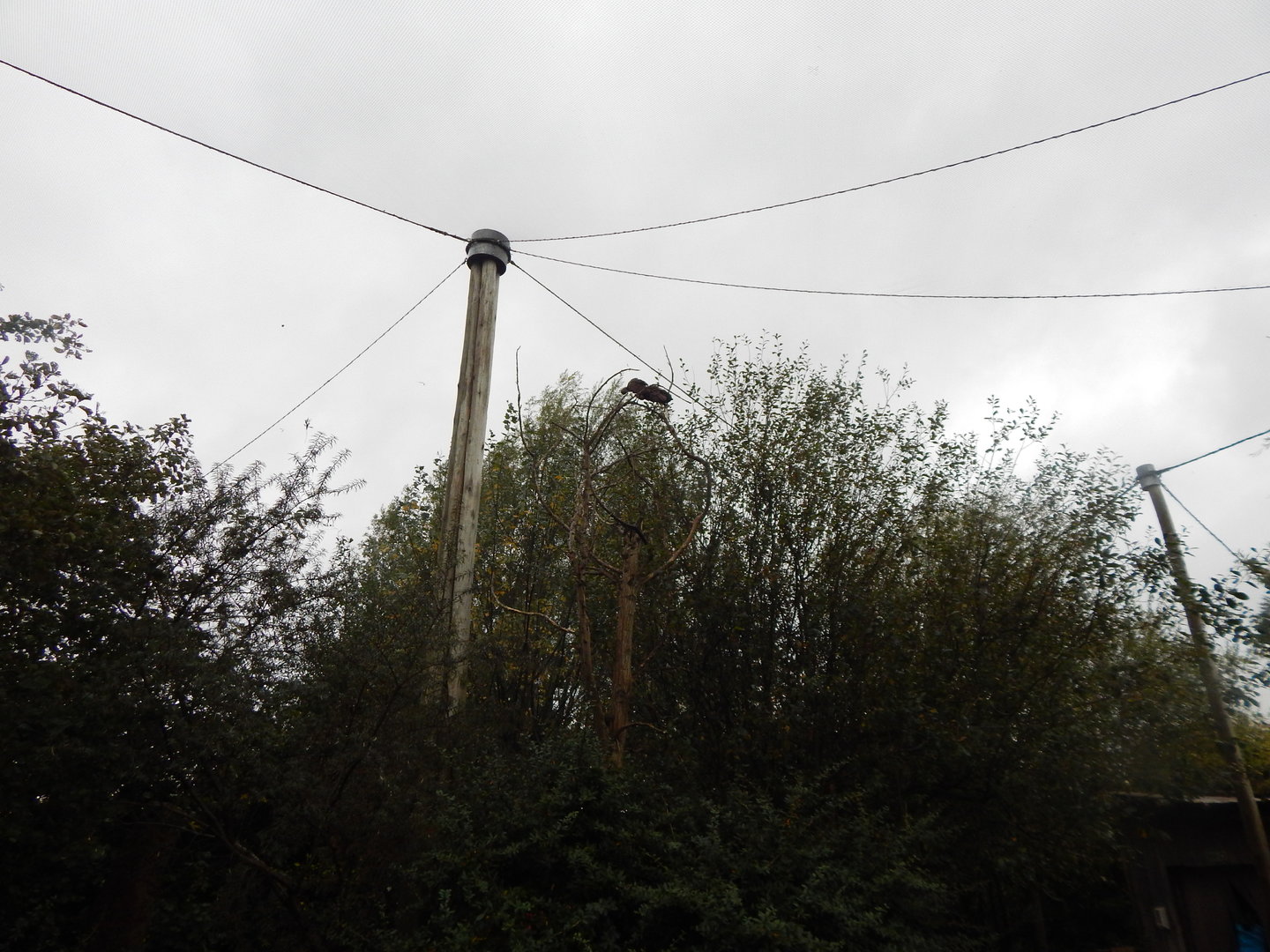 Tsavo National Bird Park Safari aviary 221022