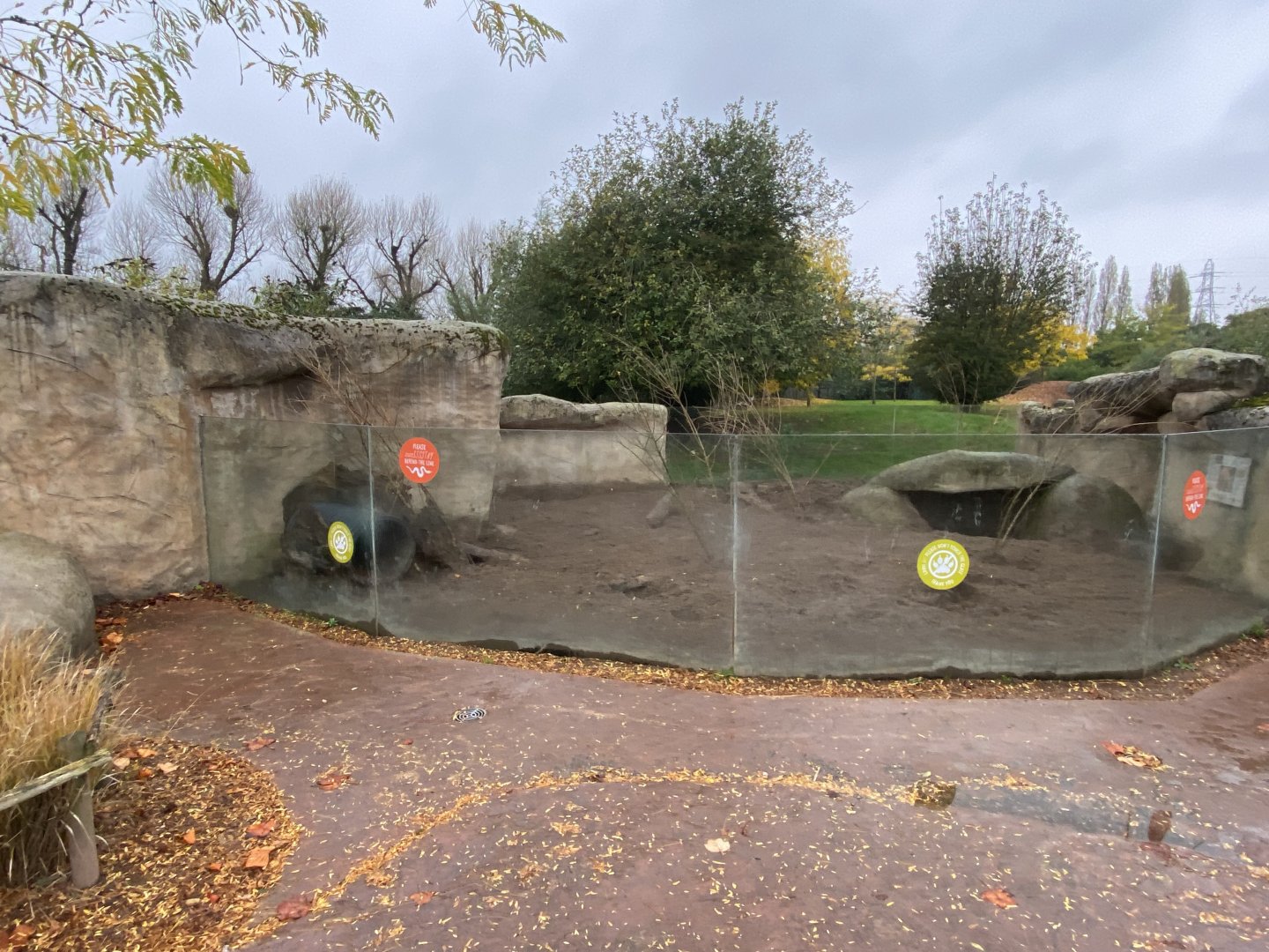 Tsavo Reserve - Aardvark exhibit 181021