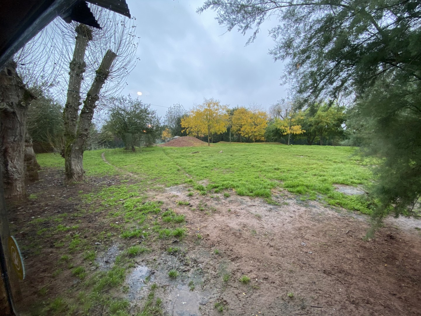 Tsavo Reserve - African hunting dog exhibit 181021