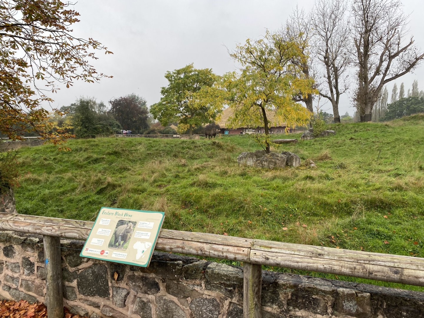 Tsavo Reserve - Eastern black rhinoceros exhibit 181021