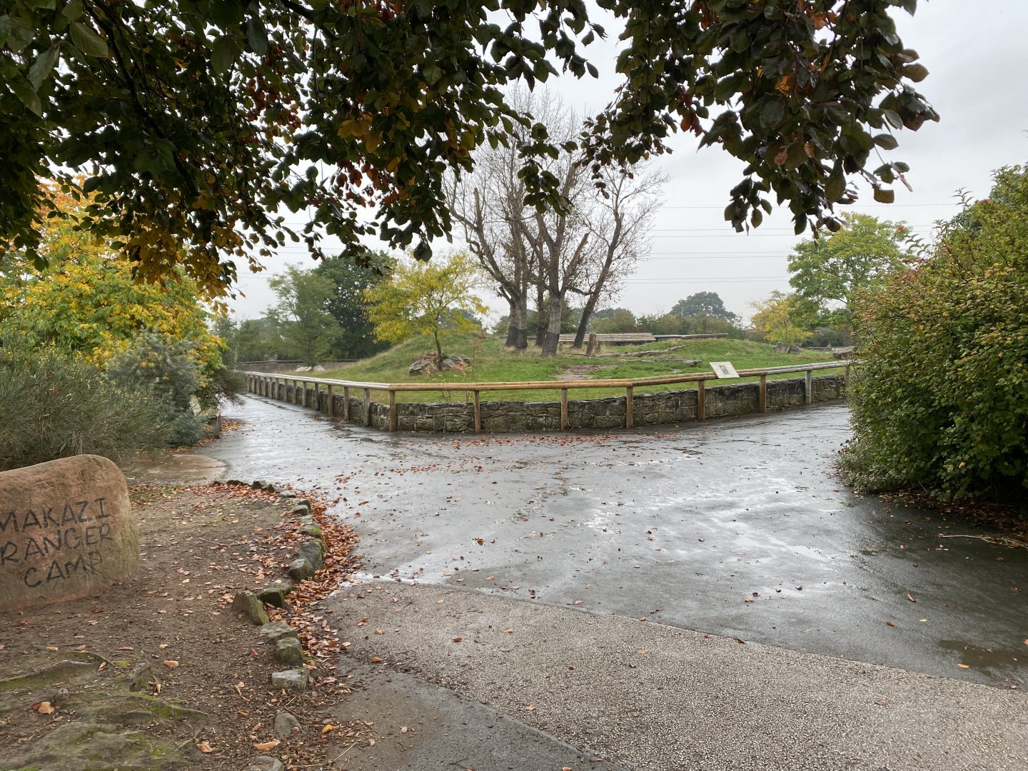 Tsavo Reserve - Eastern black rhinoceros exhibit 181021