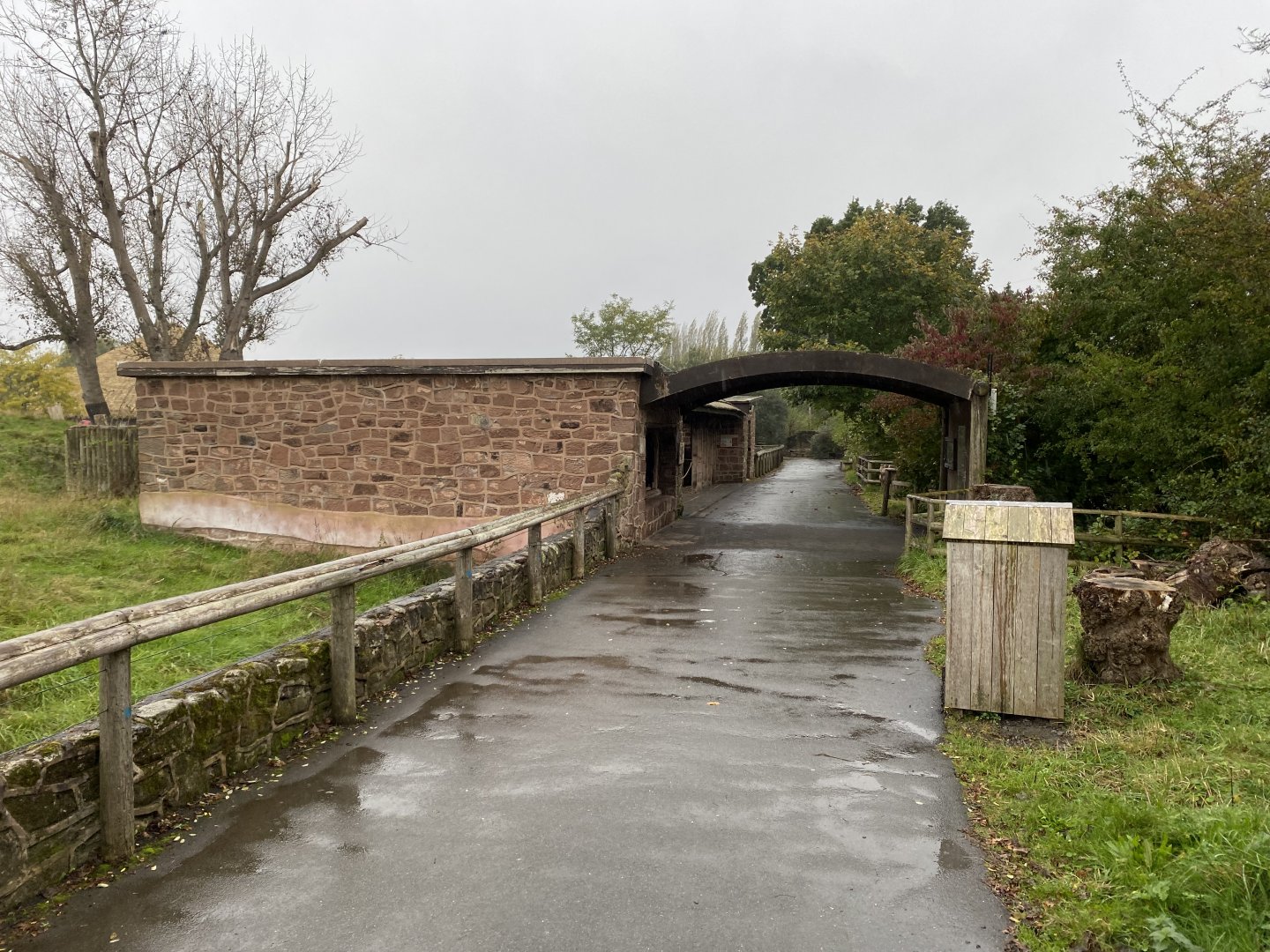 Tsavo Reserve - Meerkat exhibit 181021