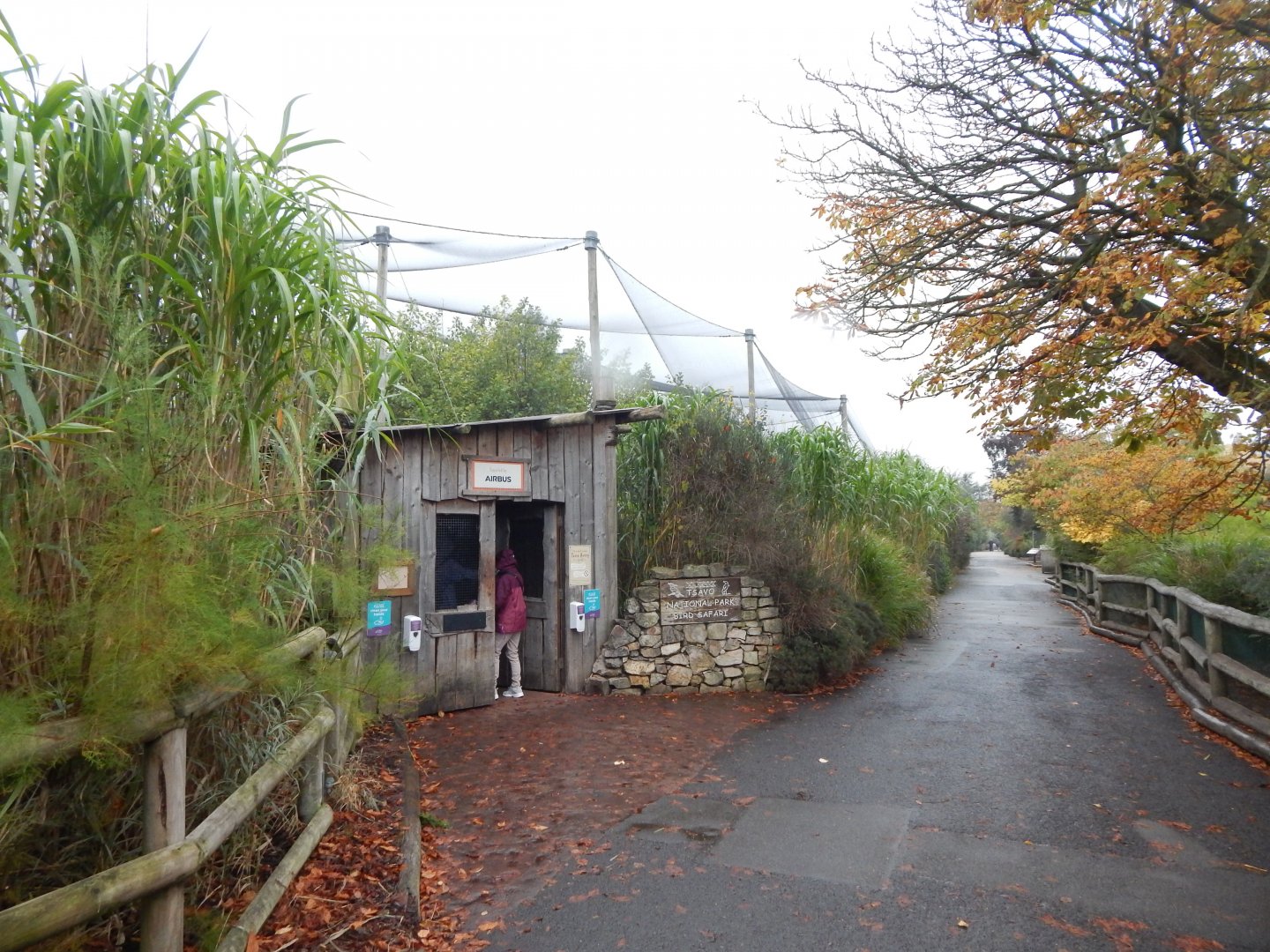 Tsavo Reserve - Tsavo Bird Safari 181021