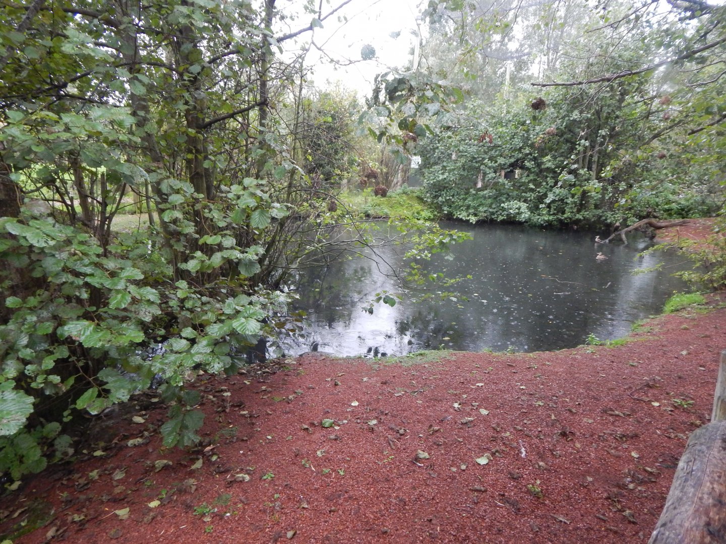 Tsavo Reserve - Tsavo Bird Safari 181021