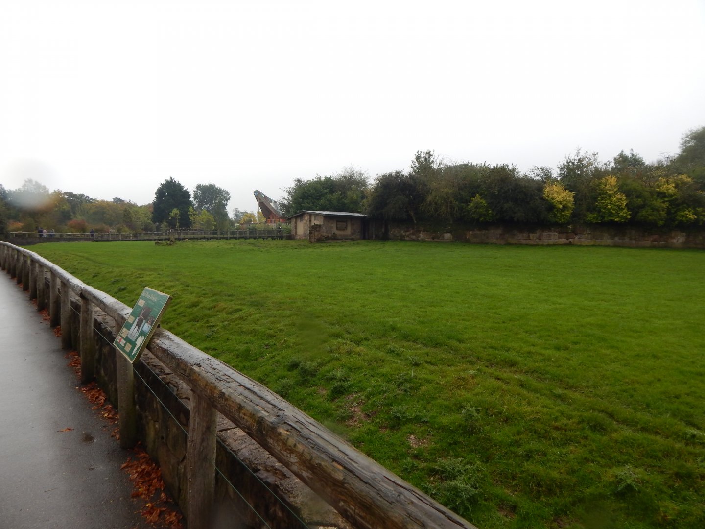 Tsavo Reserve - Western sitatunga exhibit 181021