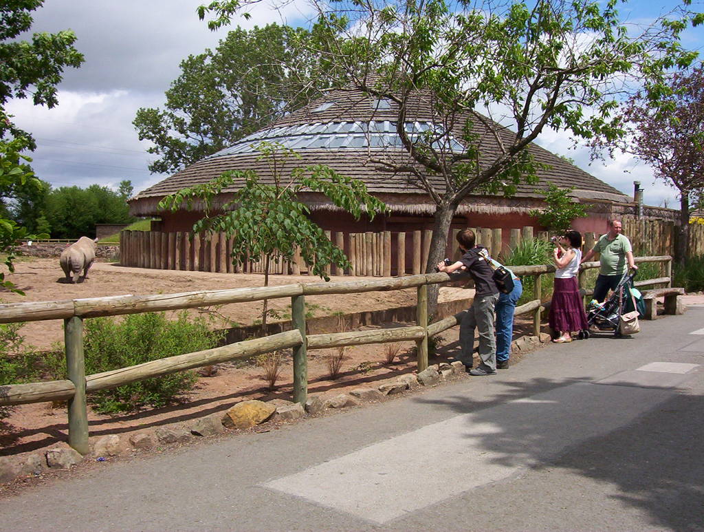 Tsavo Rhino Exhibit