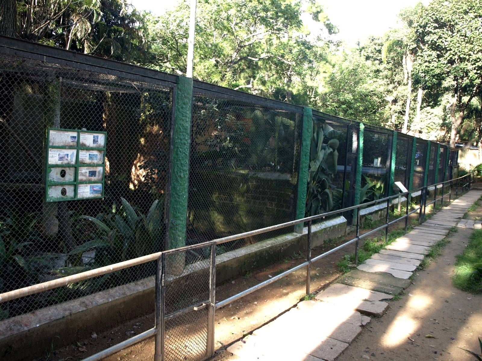 Tsimbazaza Zoo - Aviaries